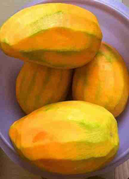 Mango 🥭😋