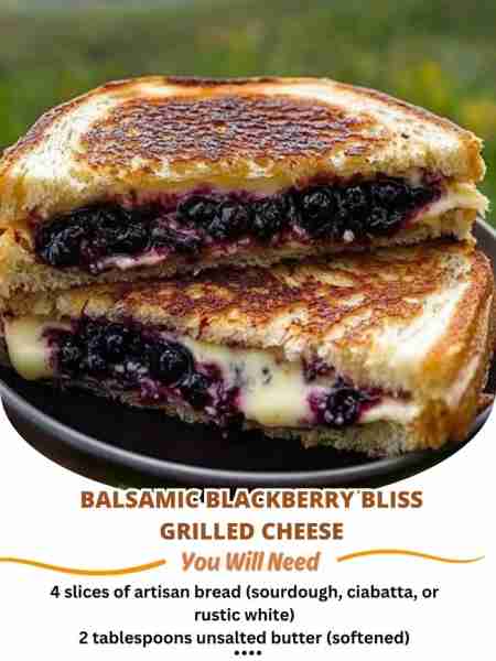 Balsamic Blackberry Bliss Grilled Cheese Ingredients: 4 slices of artisan bread (sourdough, ciabatta...