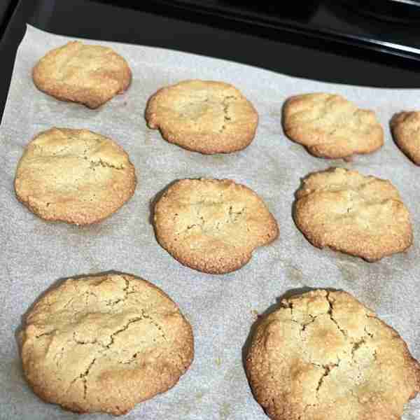 Low Carb Pudding Cookies Prep Time: 10 minutes Cook Time: 15 minutes Yields: 16 cookies INGREDIENTS...