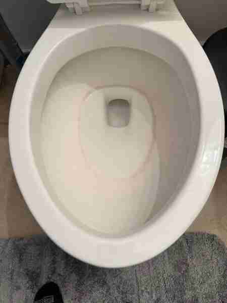 I just moved into this place and I can’t figure out how to remove old water rings from the toilet, I...