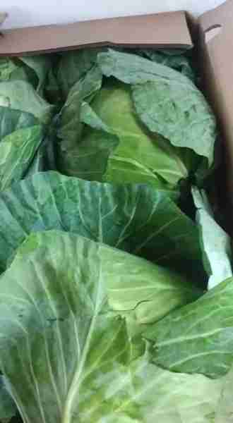 Health Benefits of Cabbage 🥬 Did you know? • Cabbage, is known to reduce the risk of a number of ca...