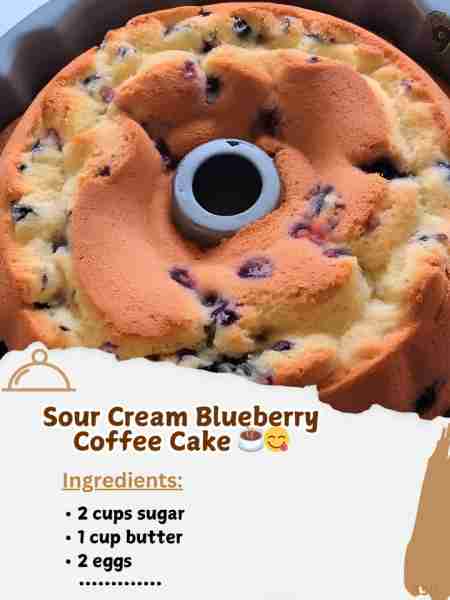 Sour Cream Blueberry Coffee Cake ☕️😋 • 2 cups sugar • 1 cup butter • 2 eggs • 1 cup sour cream • 1...