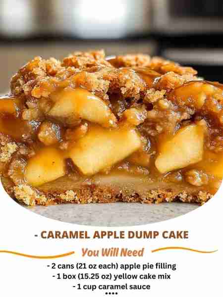 Warm, gooey, and full of flavor, this Caramel Apple Dump Cake is the perfect way to celebrate the se...