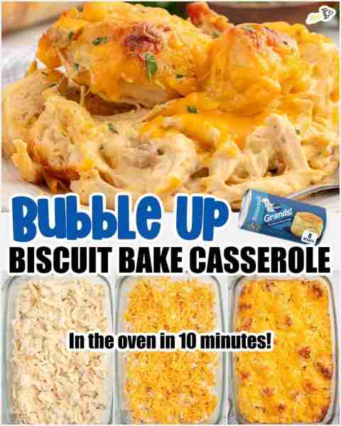 Chicken Bubble Biscuit Bake! Check the comments for full recipe Ingredients 21 ounces condensed crea...
