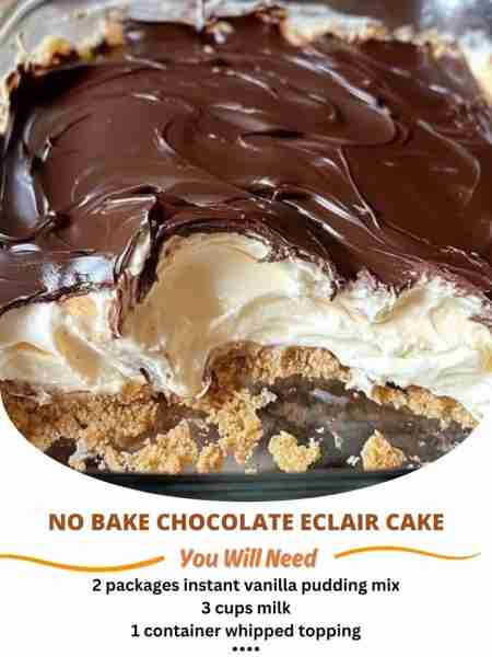No bake Chocolate Eclair Cake Ingredients: 2 packages instant vanilla pudding mix 3 cups milk 1 cont...