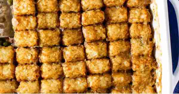 TATER TOT CASSEROLE INGREDIENTS 2 lbs ground beef, browned and drained 1⁄2 cup diced celery 1 large...
