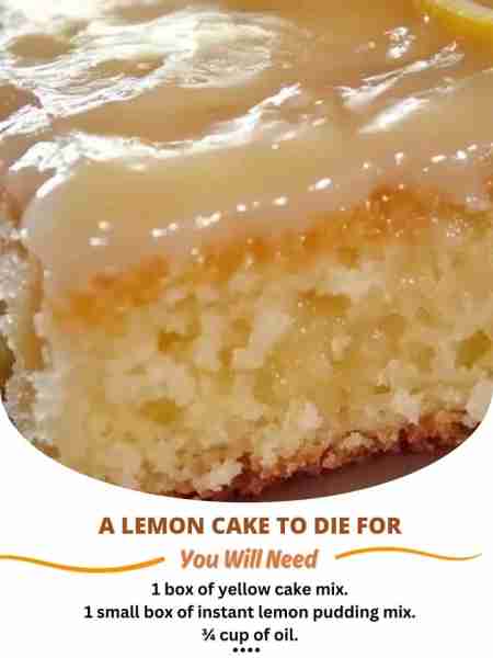 A LEMON CAKE TO DIE FOR You’ll Need (for the cake): 1 box of yellow cake mix. 1 small box of instant...