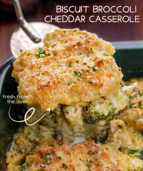 RECIPE➡️: https://iamhomesteader.com/biscuit-broccoli-cheddar.../ Homemade biscuits top this broccol...