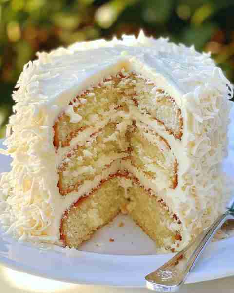 Coconut Velvet Cake with Creamy Frosting Ingredients: 2 ½ cups all-purpose flour 1 ½ teaspoons bakin...
