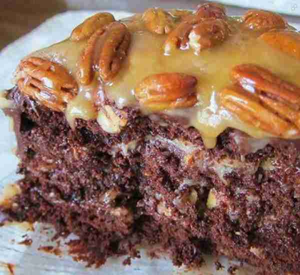 TURTLE CAKE Ingredients 1 cup chocolate chips 2 cups pecans 3/4 cup melted butter... 1/2 cup evapora...