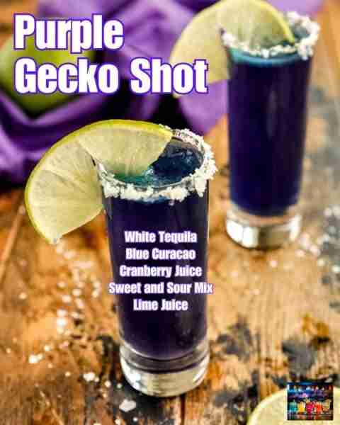 🦎 Purple Gecko Shot Ingredients (for 2 shots): 1 oz White Tequila ½ oz Blue Curacao ½ oz Cranberry...