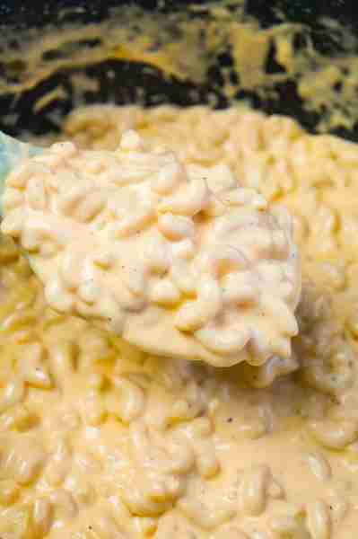 Creamy Stovetop Mac and Cheese! Recipe in the Comments