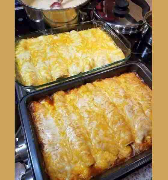Cream Cheese Chicken Enchiladas 8 oz. cream cheese, softened 2 cups shredded cooked chicken 1 can di...