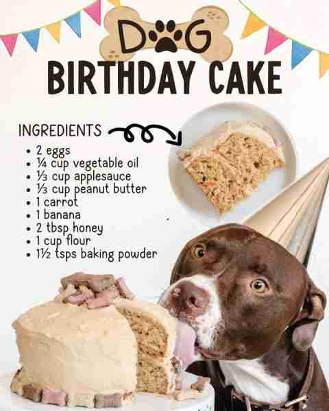 Let’s raise the woof! 🎉🐶 This doggy birthday cake is the ultimate treat for one spoiled pup! 🎂🐾...