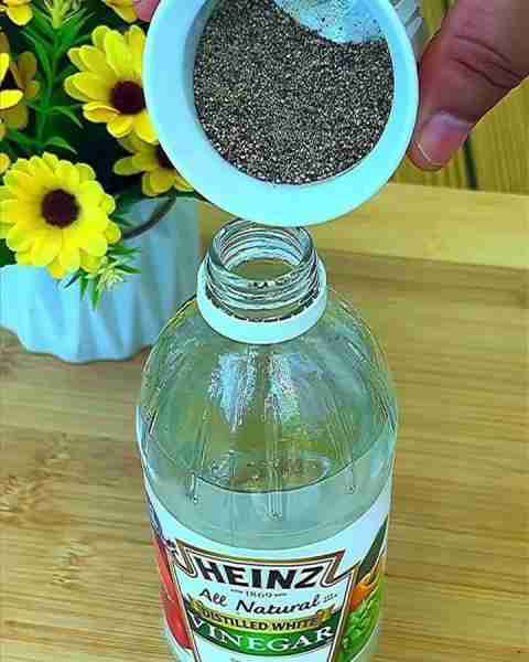 Mix vinegar with pepper and you will never have dog and cat urine again So that they don't pee every...