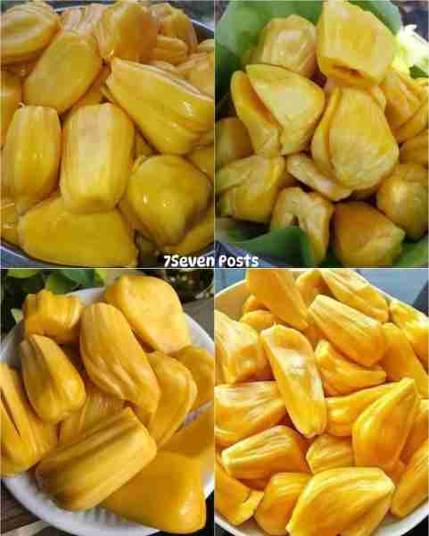 Jackfruit 😋
