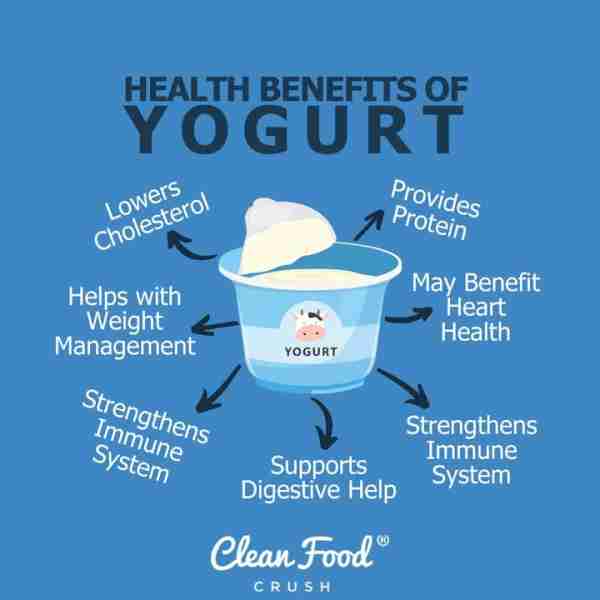 Yogurt is a great snack, but did you know it also offers an incredible amount of health benefits? It...