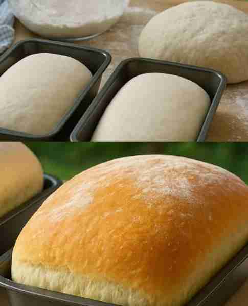 The Best White Bread from Scratch Recipe: Ingredients: 2 ¼ teaspoons active dry yeast (1 packet) 2 ¼...