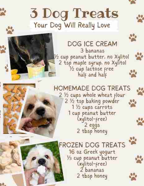3 Dog Treats Your Dog Will Really Love! ~~~~~~~~ DOG ICE CREAM 3 bananas ½ cup peanut butter, no Xyl...