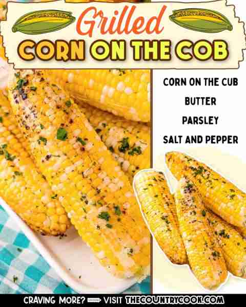 Super easy, quick and delicious, this Grilled Corn recipe is a tasty side dish that goes with so man...