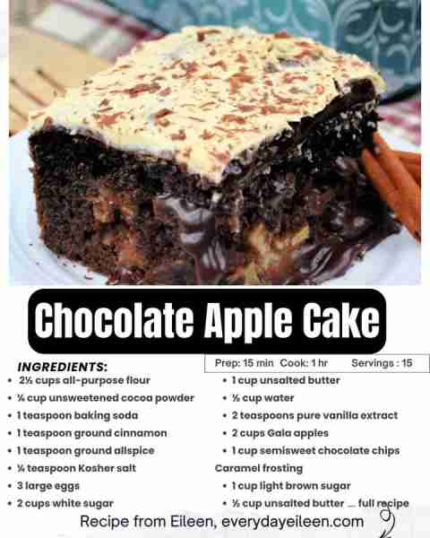 One of my favorites, Gooey Chocolate Apple Cake. Recipe link in comments.