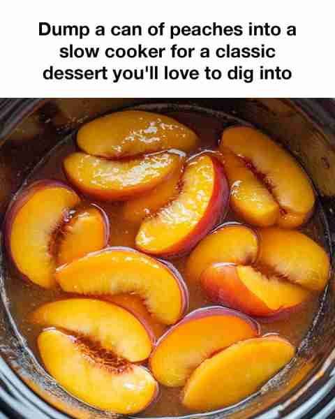 Dump a can of peaches into a slow cooker for a classic dessert you'll love to dig into. Full recipe...