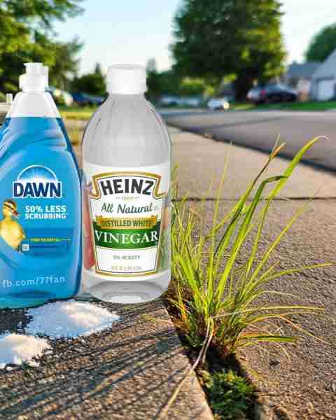 This killed all my weeds in my sidewalk DIY 3 Ingredient Weed Killer Ingredients 1 gallon white vine...