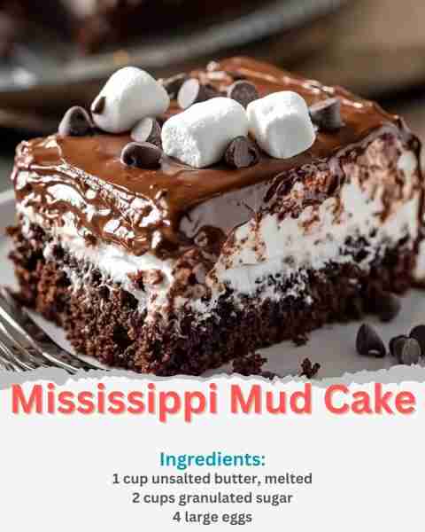 Mississippi Mud Cake Ingredients: 1 cup unsalted butter, melted 2 cups granulated sugar 4 large eggs...