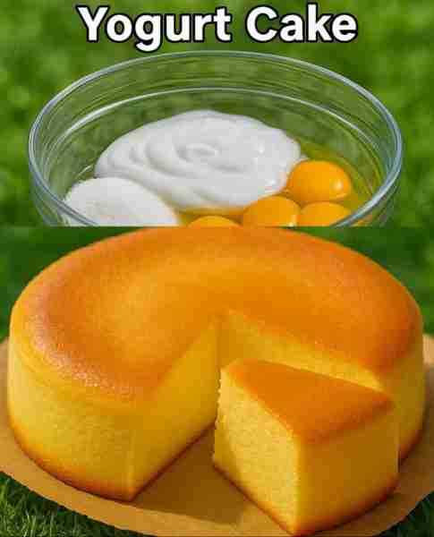 Fluffy Yogurt Cake 🍰🥚🍦🌾 Ingredients: - 4 large eggs, separated 🥚🥚🥚🥚 - 1/2 cup of sugar 🍚 -...