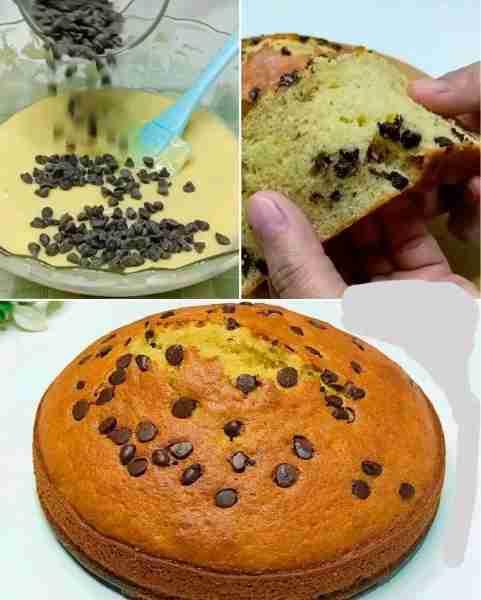 CHOCOLATE CHIP SPONGE CAKE 😋 Ingredients: 2 cups wheat flour 1 cup sugar 1/2 cup melted butter 1 cu...