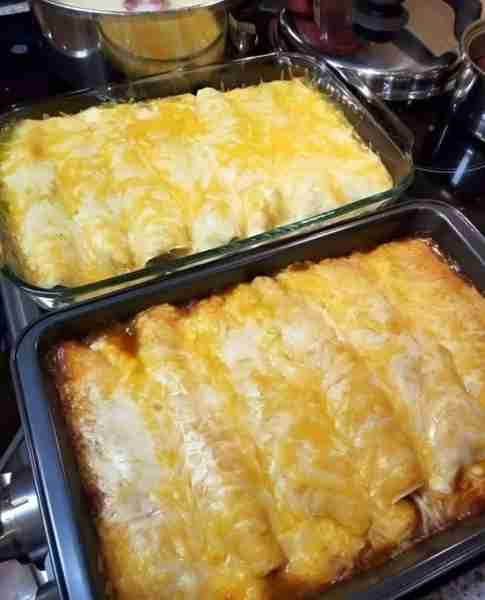 Cream Cheese Chicken Enchiladas 8 oz. cream cheese, softened 2 cups shredded cooked chicken 1 can di...