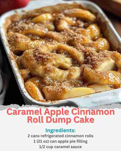 Caramel Apple Cinnamon Roll Dump Cake Ingredients: 2 cans refrigerated cinnamon rolls (with icing) 1...