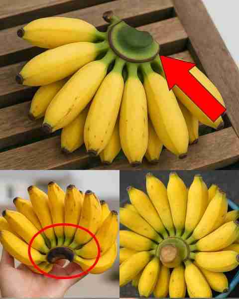 Never Throw Away This Part of the Banana: Here's Why It's Valued at Home🍌