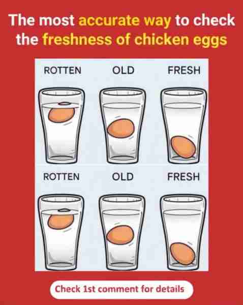 There is no more accurate way: the most accurate way to check the freshness of chicken eggs🧐 Detail...