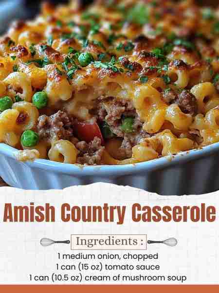 Amish Country Casserole Ingredients: 1 lb ground beef 1 medium onion, chopped 1 can (15 oz) tomato s...