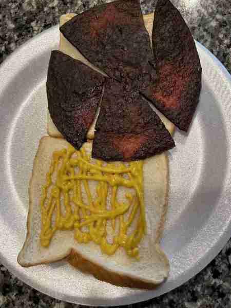 This is a bologna sandwich from a TN girl. Burnt!