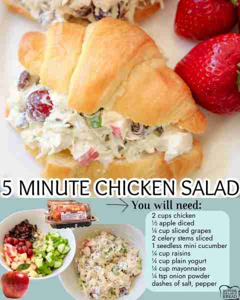 EASY CHICKEN SALAD 2 cups chicken ½ apple diced ¼ cup sliced grapes 2 celery stems sliced 1 seedless...