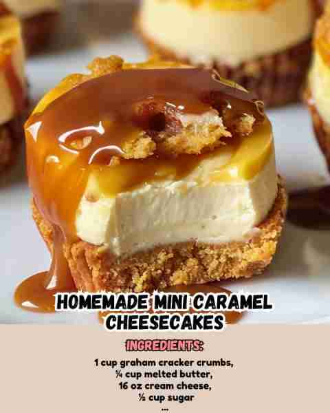 Homemade Mini Caramel Cheesecakes Ingredients: - 1 cup graham cracker crumbs - ¼ cup melted butter...