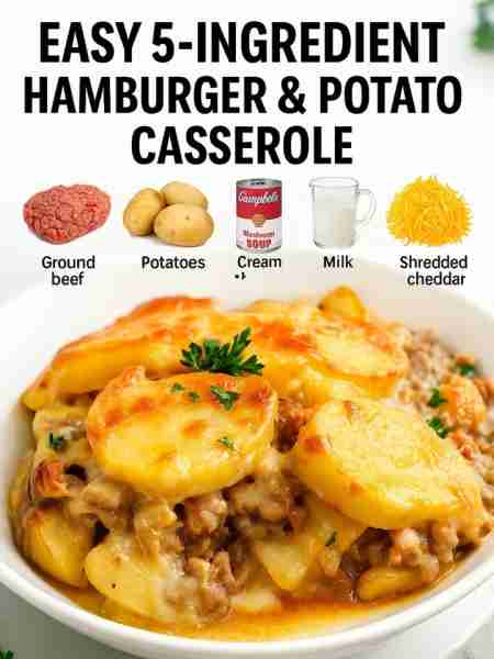 Easy 5-Ingredient Hamburger & Potato Casserole Ingredients 1 lb ground beef for the base layer 4 l...