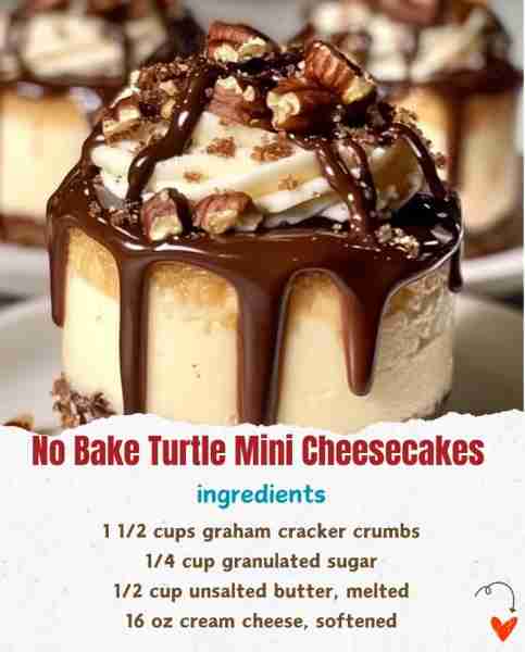 No Bake Turtle Mini Cheesecakes 🍰🐢🍫 Ingredients: 1 1/2 cups graham cracker crumbs 🥣 1/4 cup gra...
