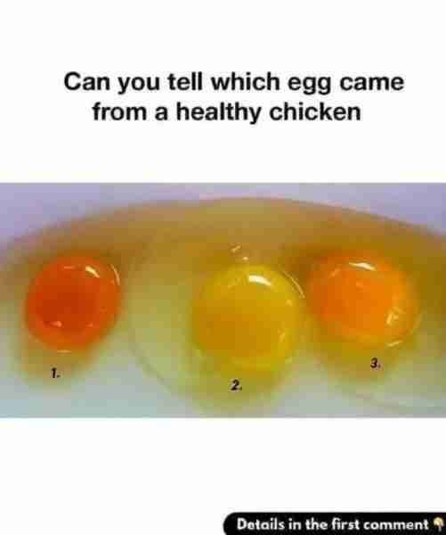 Darn, I didn't guess right!. please try to guess before you read the details in the first comment 👇...