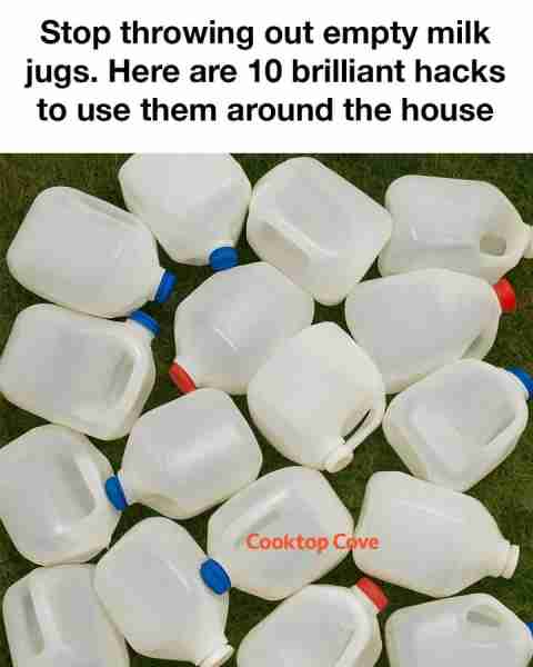 Stop throwing out empty milk jugs. Here are 10 brilliant hacks to use them around the house. Full ar...
