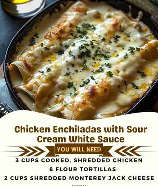 🌯🍗 Creamy Dreamy Chicken Enchiladas with Sour Cream White Sauce – Rich, Cheesy & Irresistible! 🧀...