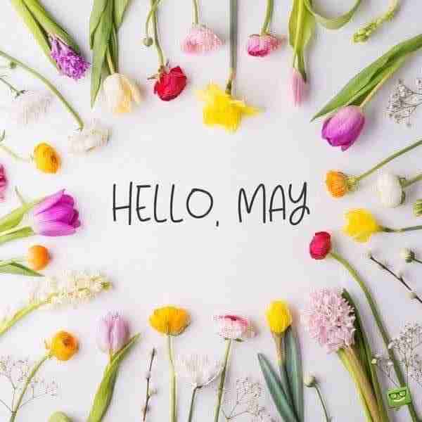 🌹 Good Morning May. 🌹 Welcome May Blessings‼️ May you be happy. May you be well. May you be safe....