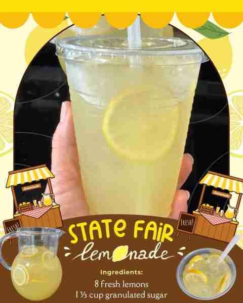 STATE FAIR LEMONADE! 🍋 8 fresh lemons 🍋 1 ⅓ cup granulated sugar 🍋 6 cups water