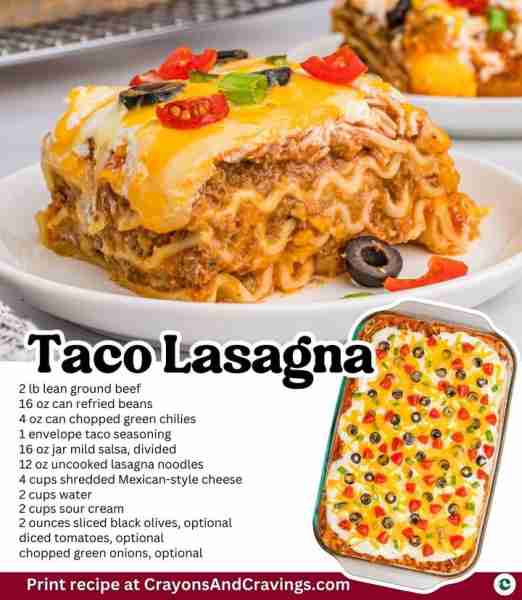 TACO LASAGNA 2 lb lean ground beef 16 oz can refried beans 4 oz can chopped green chilies 1 envelope...