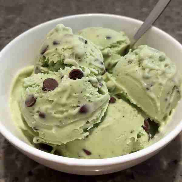 Mint Choc Chip Vegan Ice Cream Recipe