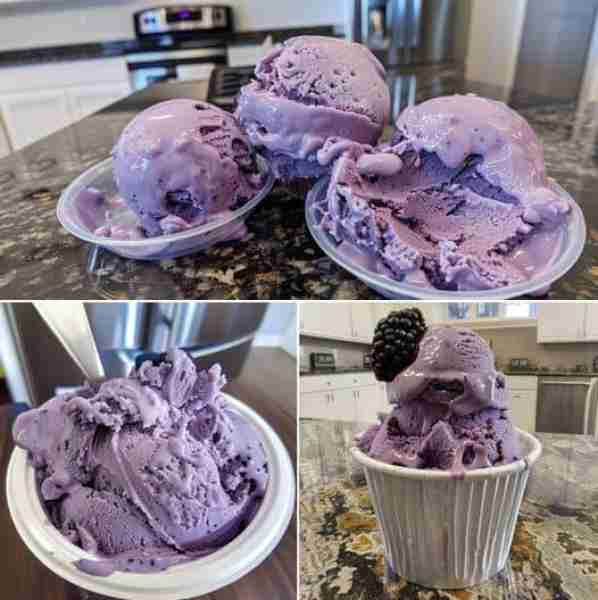 🍇✨ Vegan Blackberry Ice Cream 🍦🌿