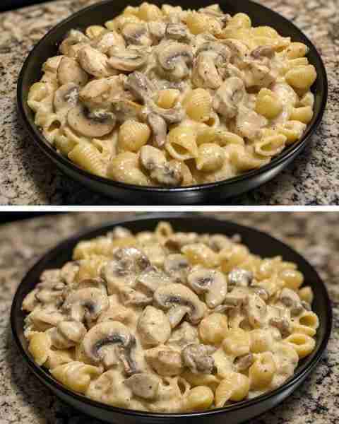 Creamy Mushroom Chicken with Shell Pasta Herb-Infused Chicken Shells with Creamy Garlic Mushrooms In...