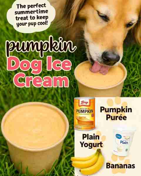 Cool, creamy, and pup-approved 🎃🐾 This Homemade Pumpkin Dog Ice Cream is the tail-waggin’ treat yo...